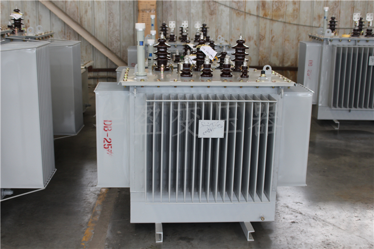 五指山S20-800kVA/10kV/0.4kV变压器